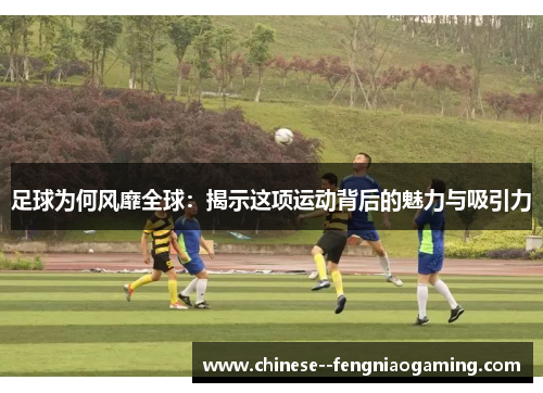足球为何风靡全球:揭示这项运动背后的魅力与吸引力 足球为何风靡全球:揭示这项运动背后的魅力与吸引力