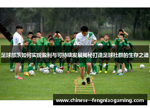 足球部落如何实现盈利与可持续发展揭秘打造足球社群的生存之道