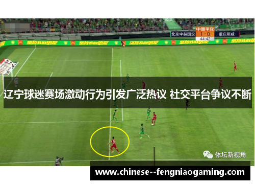 辽宁球迷赛场激动行为引发广泛热议 社交平台争议不断