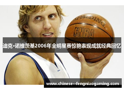 迪克·诺维茨基2006年全明星赛惊艳表现成就经典回忆